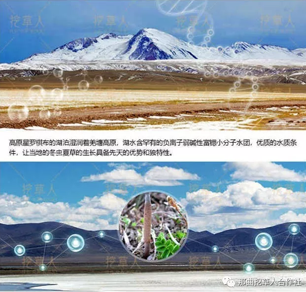 1552638261109808.png 6.png