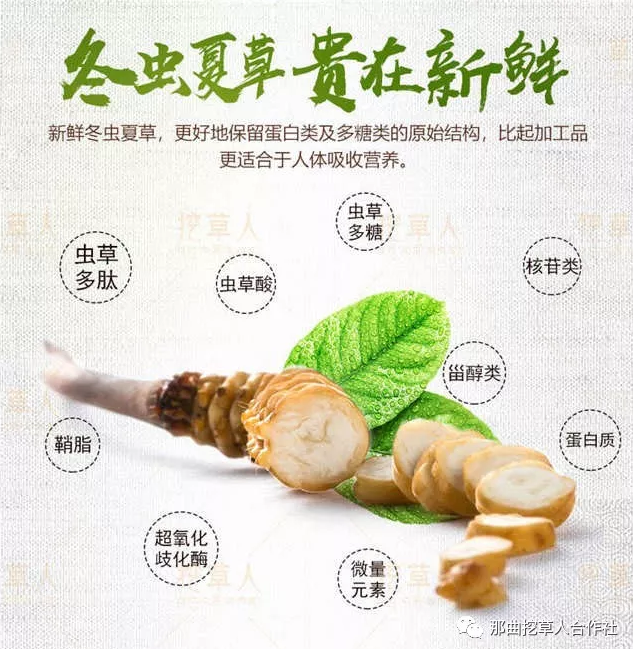 1552638294626112.png 9.png