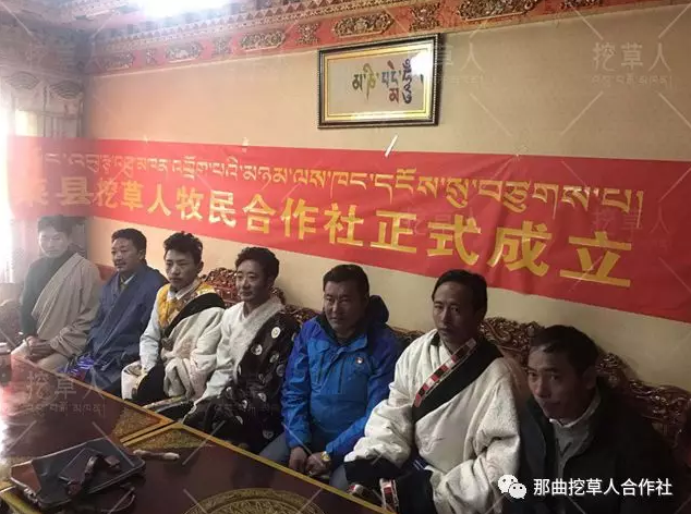 1552638387101305.png 15.png