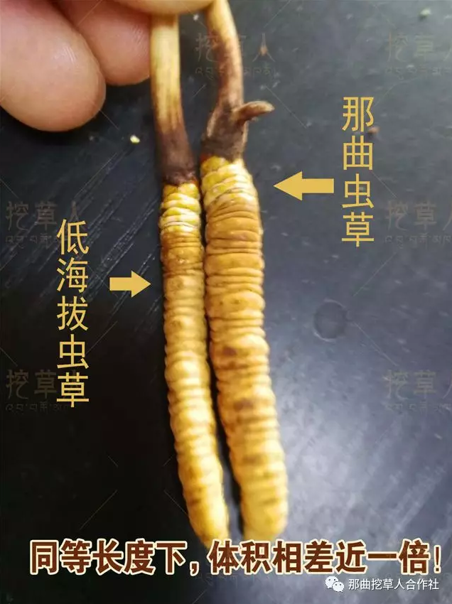 1552638649253973.png 8.png