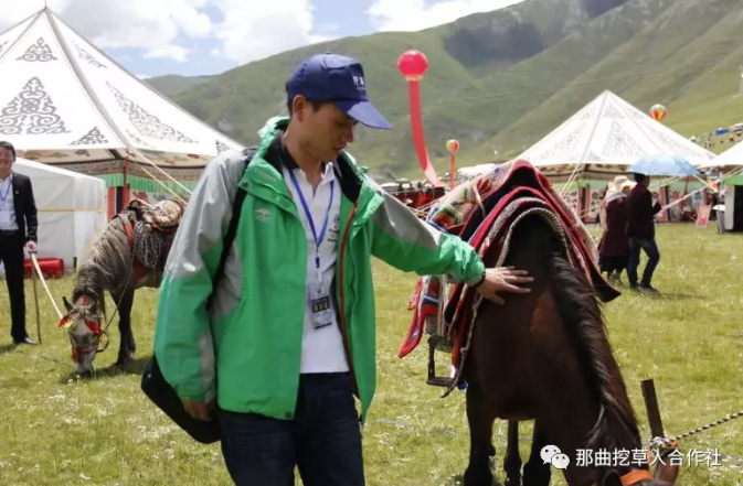 1552639352192696.png 2.png