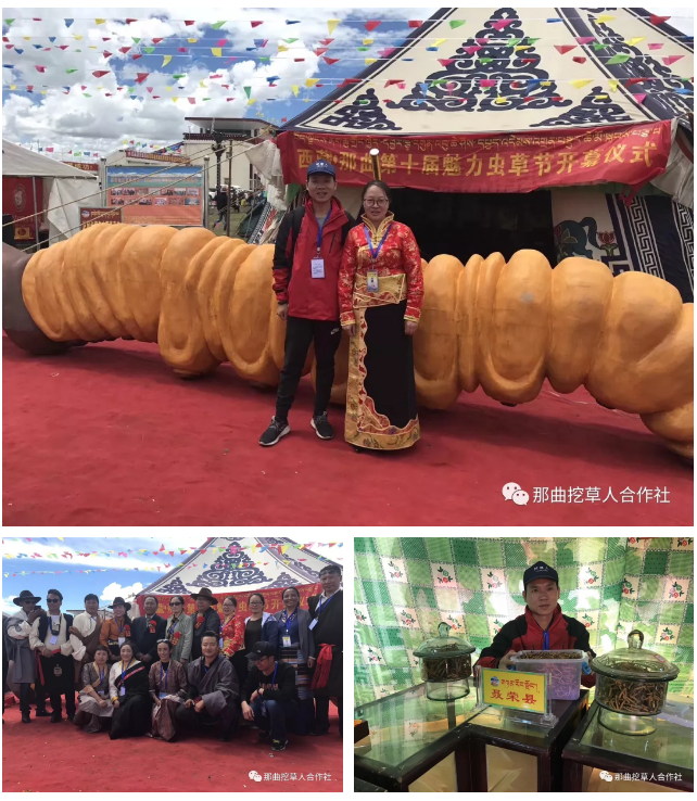 1552639416230004.png 8.png